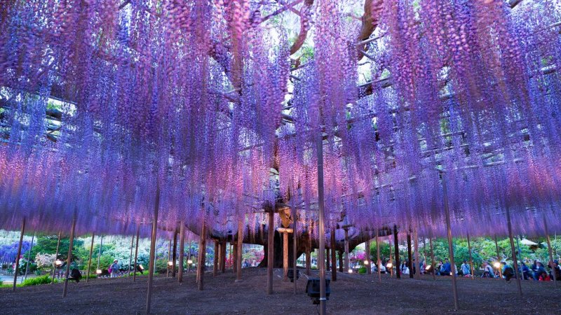 宇都宮市で浮気の不安を感じたときに整理したい行動の変化と、駅前のにぎわいと郊外の滞在スポットが重なる街での相談先